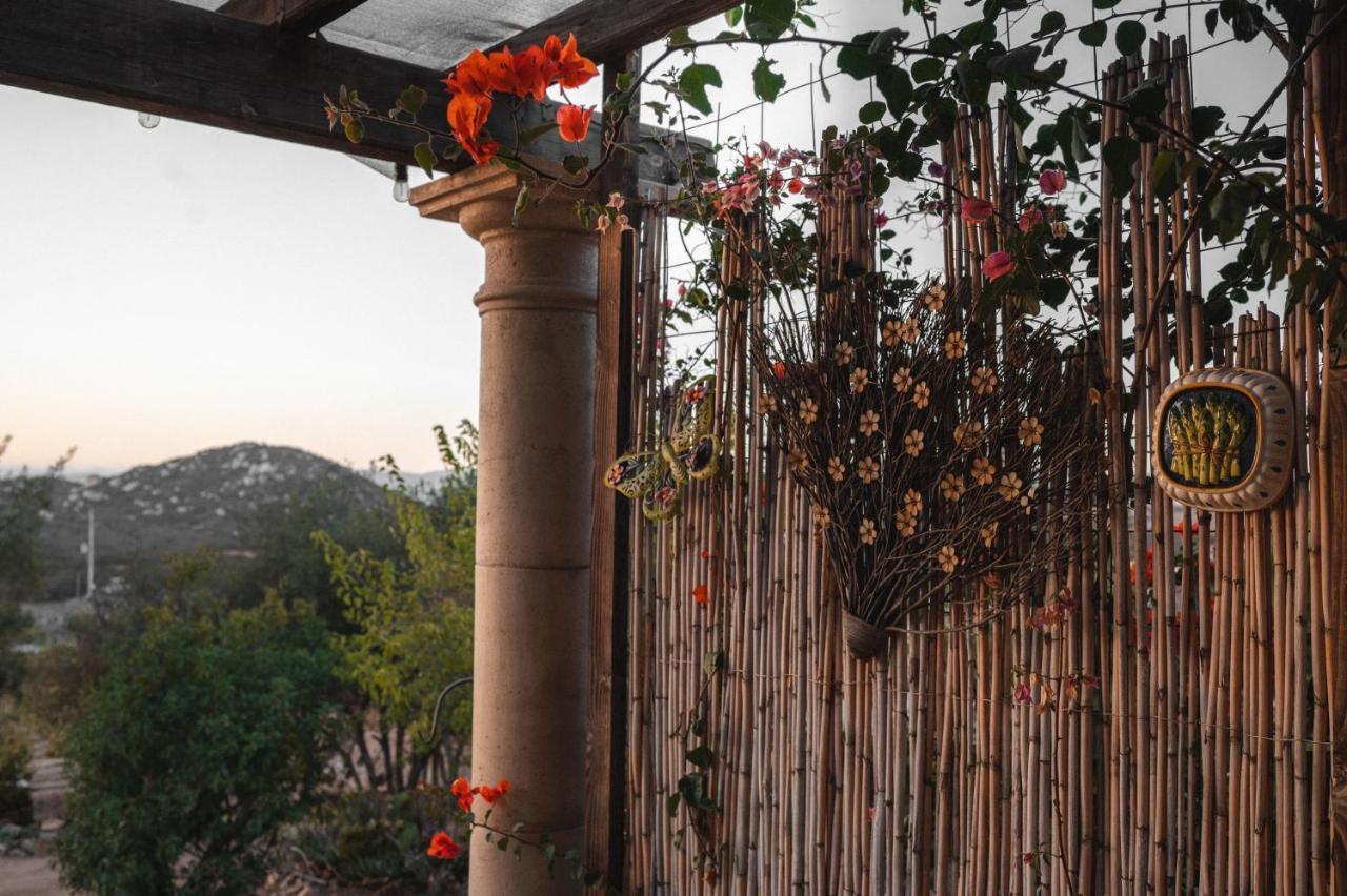 バジェ・デ・グアダルーペ Vina Calabria Bed & Breakfast エクステリア 写真