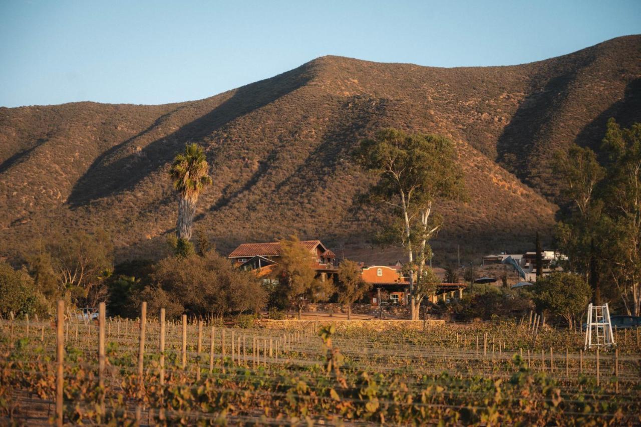 バジェ・デ・グアダルーペ Vina Calabria Bed & Breakfast エクステリア 写真