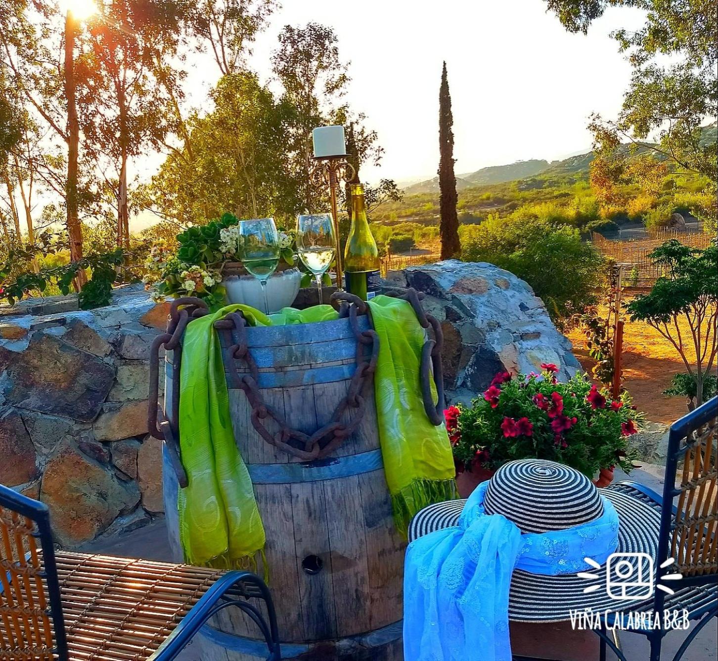 バジェ・デ・グアダルーペ Vina Calabria Bed & Breakfast エクステリア 写真